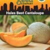 Hales Best Cantaloupe Organic Seeds -Plants And Accessories Shop 8611872 02v hales best cantaloupe organic seeds
