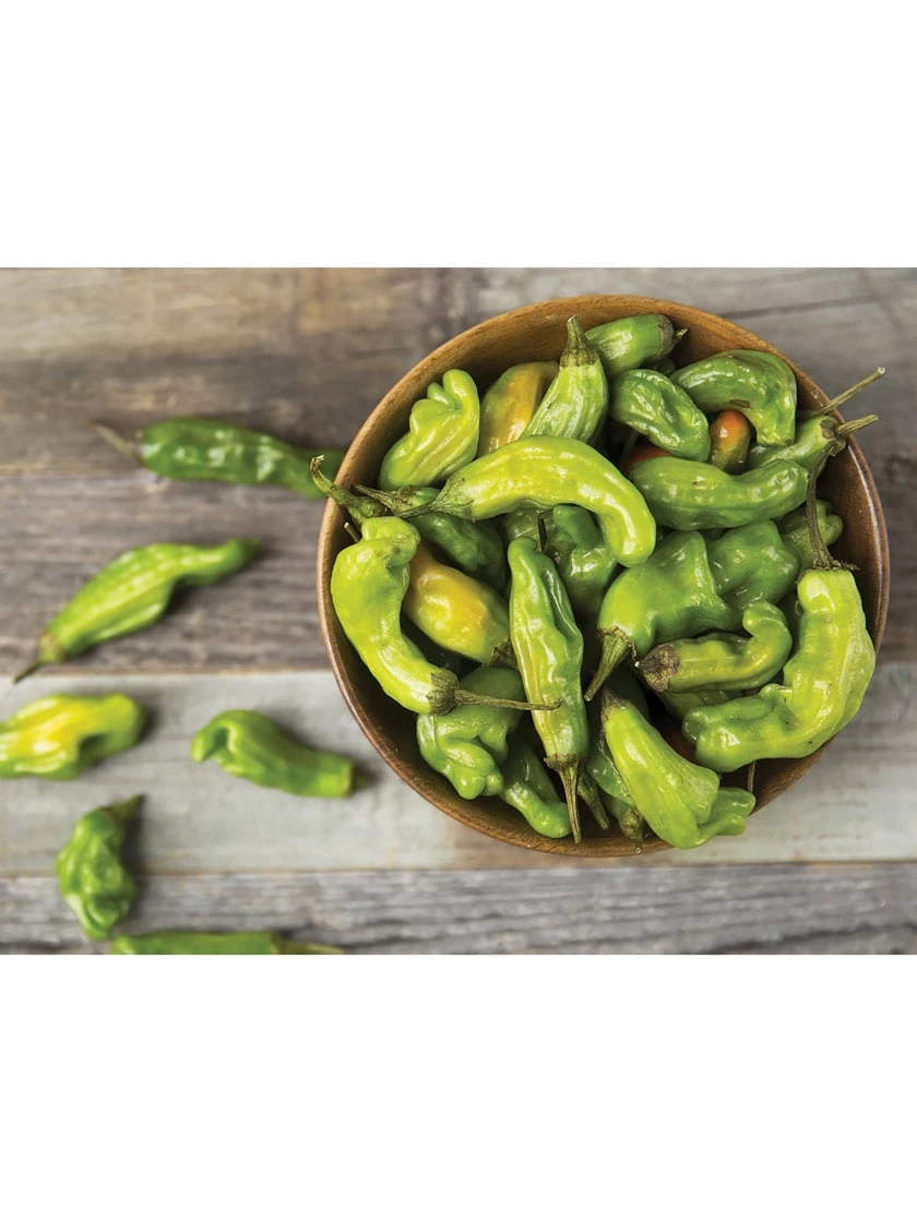 Shishito Pepper Organic Seeds 2 Shishito Pepper Organic Seeds