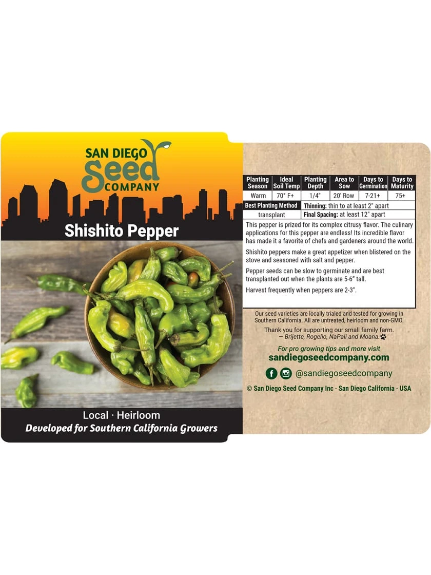 Shishito Pepper Organic Seeds 4 Shishito Pepper Organic Seeds - Image 3
