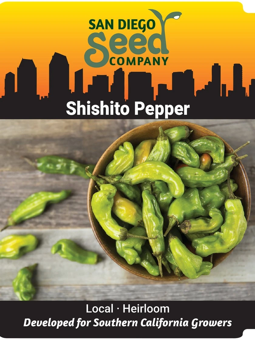 Shishito Pepper Organic Seeds 3 Shishito Pepper Organic Seeds - Image 2