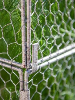 Chicken Wire Crop Coop Extension -Plants And Accessories Shop 8611940 232 tif