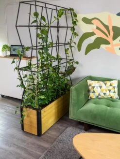 Self-Watering Partition Planter -Plants And Accessories Shop 8611952 001 tif