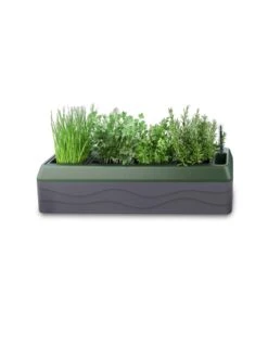 Provence Self-Watering Herb Planter 13 Provence Self-Watering Herb Planter -Plants And Accessories Shop 8611965 03V tif