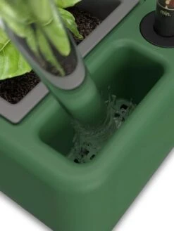 Provence Self-Watering Herb Planter 11 Provence Self-Watering Herb Planter -Plants And Accessories Shop 8611965 07V tif