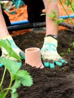 Hydro Max Watering System 10 Hydro Max Watering System -Plants And Accessories Shop 8611967 11V tif