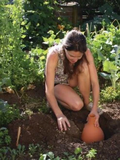 Hydro Max Watering System 11 Hydro Max Watering System -Plants And Accessories Shop 8611967 15V tif