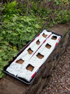 Berry Blend Coir Grow Bag, Set Of 2 -Plants And Accessories Shop 8611968 361 tif