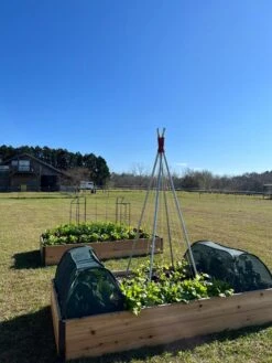 Insect And Pest Net Row Protector 11 Insect And Pest Net Row Protector -Plants And Accessories Shop 8611985 04 tif