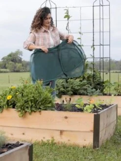 Insect And Pest Net Row Protector 12 Insect And Pest Net Row Protector -Plants And Accessories Shop 8611985 8389 tif