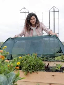 Insect And Pest Net Row Protector 13 Insect And Pest Net Row Protector -Plants And Accessories Shop 8611985 8390 tif