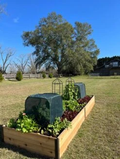 Pest Control Pop-Ups 14 Pest Control Pop-Ups -Plants And Accessories Shop 8611989 08 tif