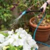 Indoor Outdoor Plant Sprayers -Plants And Accessories Shop 8611993 029 tif
