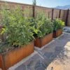 Nice Corten Trough Planters With Trellis 1 Nice Corten Trough Planters With Trellis -Plants And Accessories Shop 8612390 02V jpg