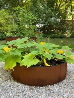 Birdies™ Corten Steel Round Raised Beds 11 Birdies™ Corten Steel Round Raised Beds -Plants And Accessories Shop 8612422 0484 tif