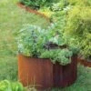 Birdies™ Corten Steel Round Raised Beds -Plants And Accessories Shop 8612423 1537 tif
