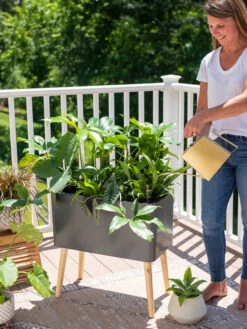 Ava Self-Watering Rectangular Planter 13 Ava Self-Watering Rectangular Planter -Plants And Accessories Shop 8612691 0011