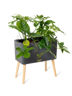 Ava Self-Watering Rectangular Planter 14 Ava Self-Watering Rectangular Planter -Plants And Accessories Shop 8612691 0013
