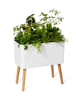 Ava Self-Watering Rectangular Planter 15 Ava Self-Watering Rectangular Planter -Plants And Accessories Shop 8612691 0014