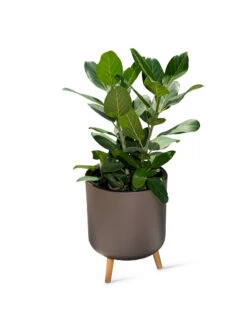 Ava Self-Watering Round Planter -Plants And Accessories Shop 8612692 0003