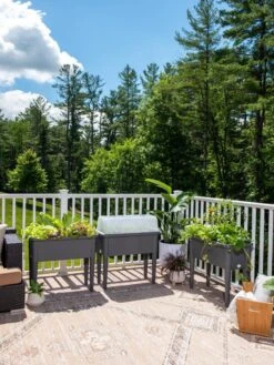 Self-Watering Standing Salad Planter With Cloche -Plants And Accessories Shop 8612702 2002 tif