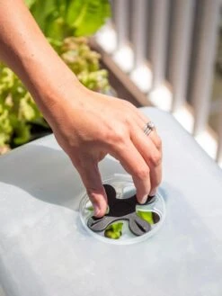 Self-Watering Standing Salad Planter With Cloche -Plants And Accessories Shop 8612702 2034 tif