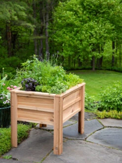 Craftsbury Elevated Raised Beds -Plants And Accessories Shop 8612706 0095