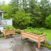 Craftsbury Elevated Raised Beds -Plants And Accessories Shop 8612709 0019 craftsbury elevated raised bed
