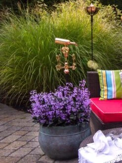 Sonoma Hose Pot 8 Sonoma Hose Pot -Plants And Accessories Shop 8612733 02V tif