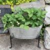 Achla Designs Mini Oval Galvanized Tub With Folding Stand -Plants And Accessories Shop 8612906 02v achla designs mini oval galvanized tub with folding stand