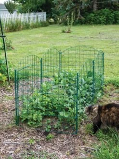 6 Panel Critter Fence With Gate 13 6 Panel Critter Fence With Gate -Plants And Accessories Shop 8612967 2570 tif