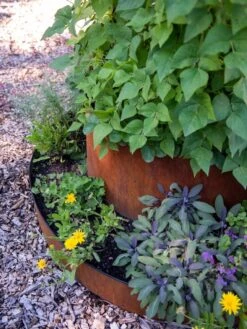 Birdies™ Corten Steel Tiered Round Raised Bed Kit, Tall -Plants And Accessories Shop 8613245 0195