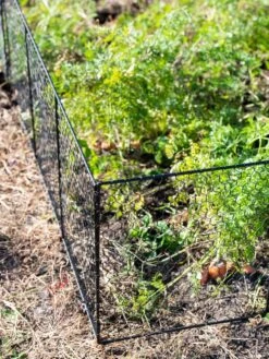 Chicken Wire Critter Fence, 16" High 19 Chicken Wire Critter Fence, 16" High -Plants And Accessories Shop 8613249 0309