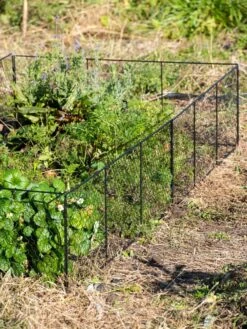 Chicken Wire Critter Fence, 16" High 20 Chicken Wire Critter Fence, 16" High -Plants And Accessories Shop 8613249 0336