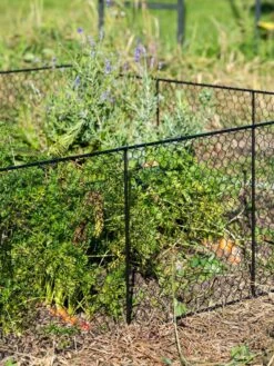 Chicken Wire Critter Fence, 16" High 16 Chicken Wire Critter Fence, 16" High -Plants And Accessories Shop 8613249 0352