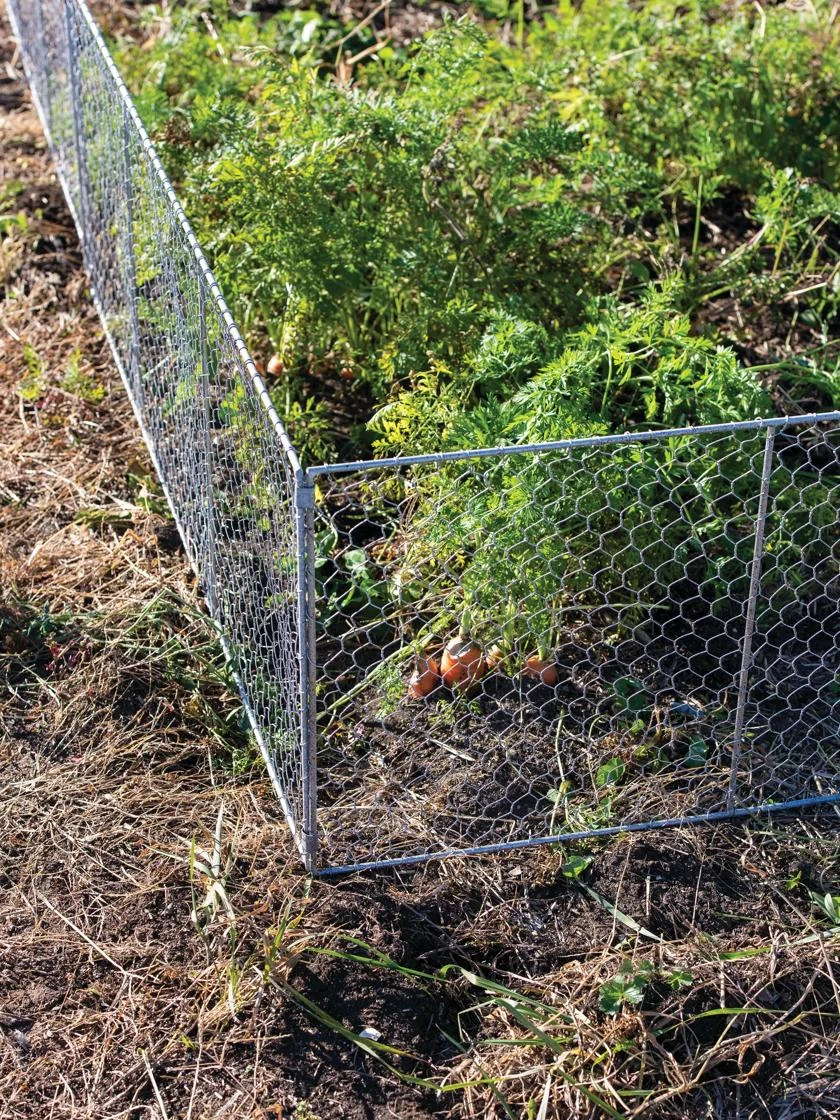 Chicken Wire Critter Fence, 16" High 6 Chicken Wire Critter Fence, 16" High - Image 4