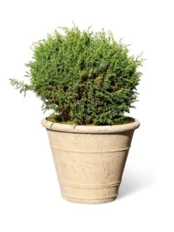 Self-Watering LavaStone® Anson Pot 14 Self-Watering LavaStone® Anson Pot -Plants And Accessories Shop 8613255 0150