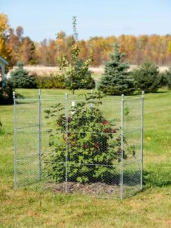 Tall Chicken Wire Critter Fence Extension Panel, Set Of 2 -Plants And Accessories Shop 8613260 0030 1
