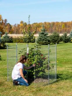Tall Chicken Wire Critter Fence With Gate -Plants And Accessories Shop 8613260 0044