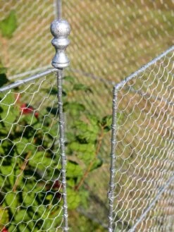 Tall Chicken Wire Critter Fence With Gate -Plants And Accessories Shop 8613260 0083