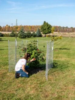 Tall Chicken Wire Critter Fence Extension Panel, Set Of 2 -Plants And Accessories Shop 8613260 0090