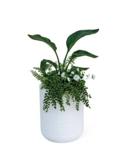 Arden Round Planter -Plants And Accessories Shop 8613267 0115