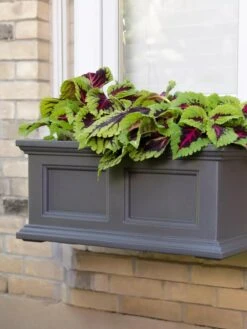 Fairfield Self-Watering Window Box, 2’ 13 Fairfield Self-Watering Window Box, 2’ -Plants And Accessories Shop 8613268 08V tif