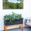 Fairfield Self-Watering Elevated Garden Bed -Plants And Accessories Shop 8613283 0079 fairfield elevated garden bed