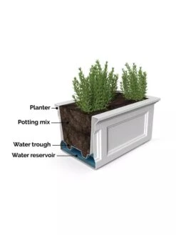 Fairfield Self-Watering Elevated Garden Bed 17 Fairfield Self-Watering Elevated Garden Bed -Plants And Accessories Shop 8613283 07V 3 4
