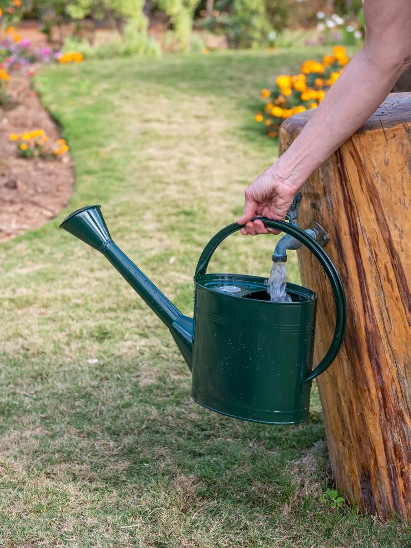 Long Reach Watering Can, Medium 3 Long Reach Watering Can, Medium