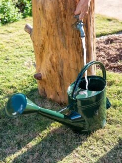 Long Reach Watering Can, Large -Plants And Accessories Shop 8613346 0147