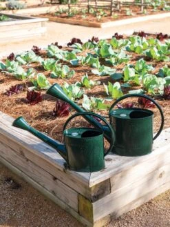 Long Reach Watering Can, Large -Plants And Accessories Shop 8613346 0148