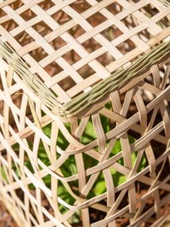 Bamboo Cloche, Set Of 2 18 Bamboo Cloche, Set Of 2 -Plants And Accessories Shop 8613351 0154