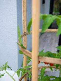 Elevated Bamboo Tomato Planter And Trellis -Plants And Accessories Shop 8613502 0423