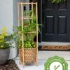 Elevated Bamboo Tomato Planter And Trellis -Plants And Accessories Shop 8613502 13